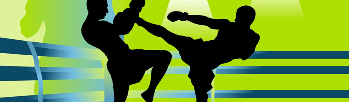 Le Dictionnaire de la boxe pieds-poings